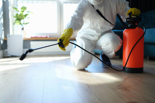 Best Local Pest Control Services  in Carrollton, VA