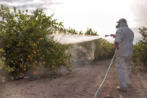 Pest Prevention Services in Carrollton, VA