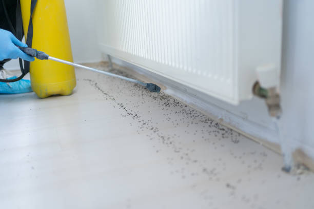 Carrollton, VA Pest Control Company
